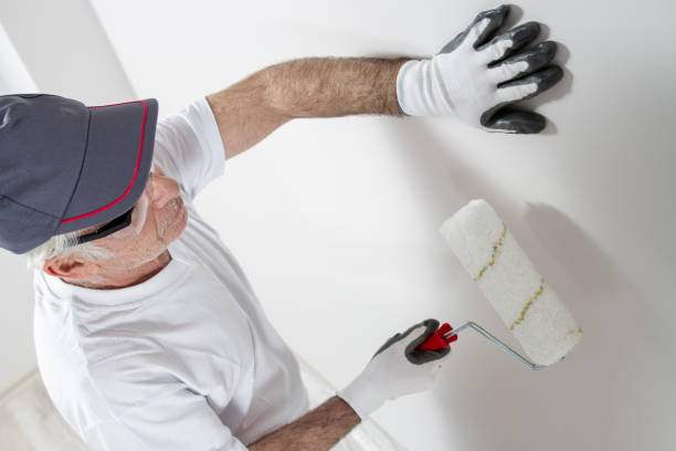 Gray, TN Mold Removal Company