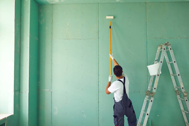 Best Mold Odor Removal Services  in Gray, TN