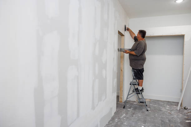Best Mold Documentation for Insurance Claims  in Gray, TN