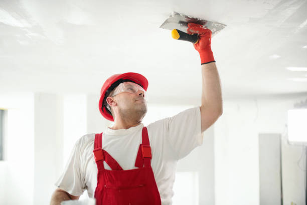 Best HVAC Mold Inspection and Cleaning  in Gray, TN