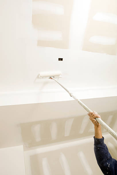 Mold Odor Removal Services in Gray, TN