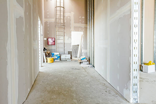 Best Airborne Mold Testing  in Gray, TN
